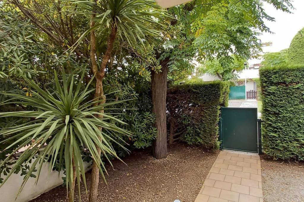 Location Grande Motte Vacances La Grande Motte Exterior foto